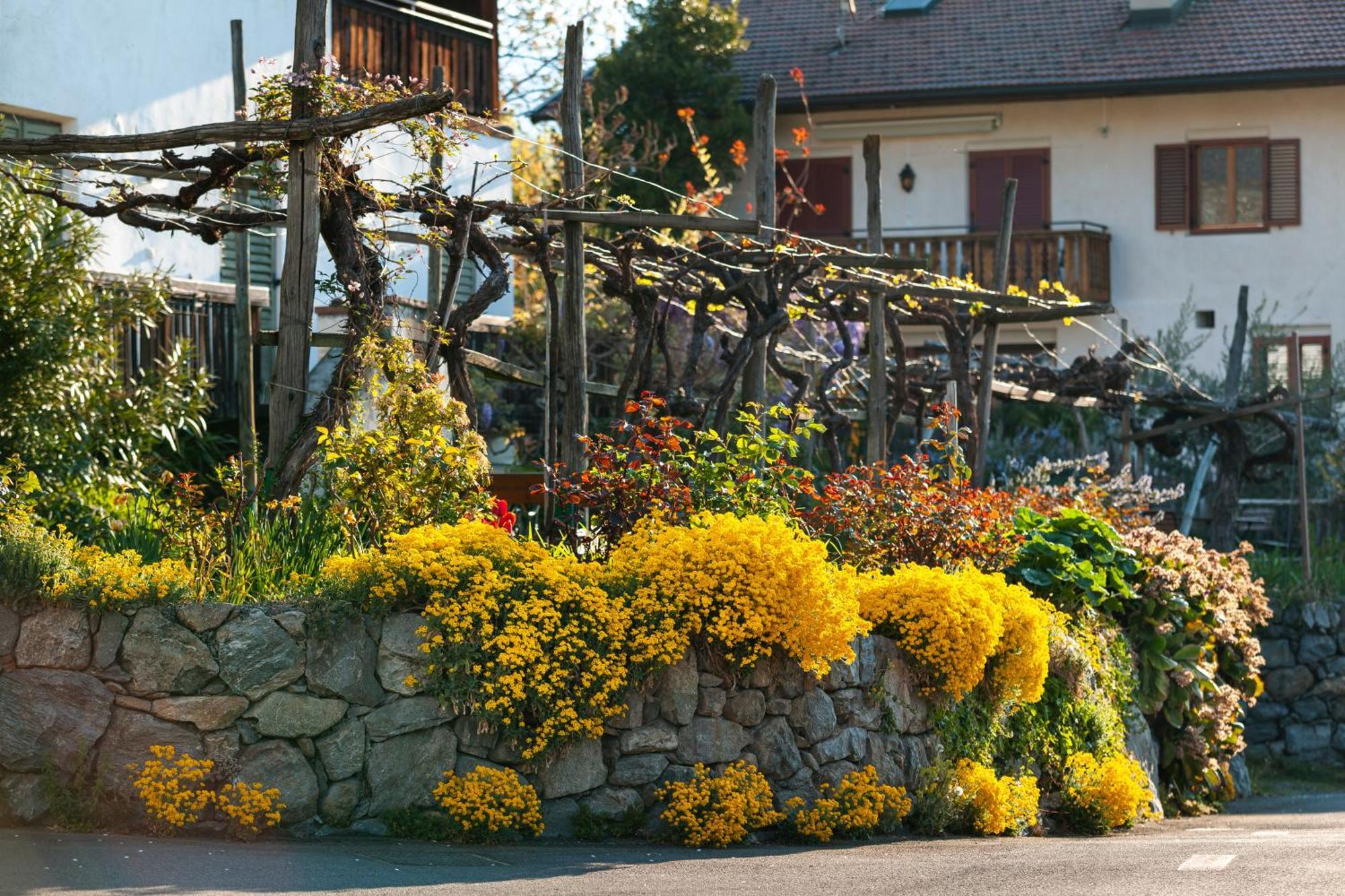 Ferienwohnungen St Hippolyt Mit Hallenbad Lagundo Exterior photo